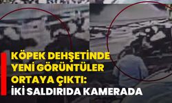 Köpek dehşetinde yeni görüntüler ortaya çıktı: İki saldırıda kamerada