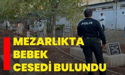 Mezarlıkta bebek cesedi bulundu