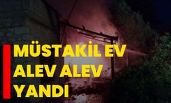 Müstakil ev alev alev yandı