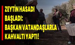 Zeytin Hasadı Başladı: Başkan Vatandaşlarla Kahvaltı Etti!