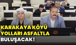 Karakaya Köyü yolları asfaltla buluşacak!