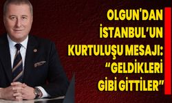 Olgun'dan İstanbul’un Kurtuluşu Mesajı: “Geldikleri Gibi Gittiler”