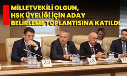 Milletvekili Olgun, HSK Üyeliği İçin Aday Belirleme Toplantısına Katıldı