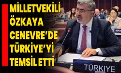 Milletvekili Özkaya Cenevre’de Türkiye’yi Temsil Etti