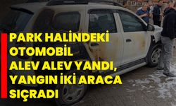 Park halindeki otomobil alev alev yandı, yangın iki araca sıçradı