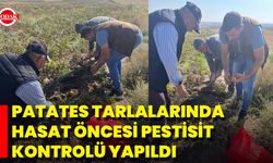 Patates Tarlalarında Hasat Öncesi Pestisit Kontrolü Yapıldı