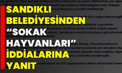 Sandıklı Belediyesinden “Sokak Hayvanları” İddialarına Yanıt