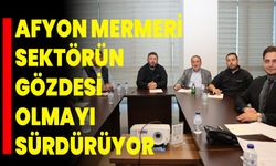 Afyon Mermeri, Sektörün Gözdesi Olmayı Sürdürüyor