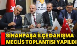 Sinanpaşa İlçe Danışma Meclis Toplantısı Yapıldı