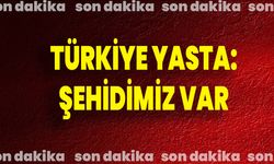 Türkiye Yasta: Şehidimiz Var