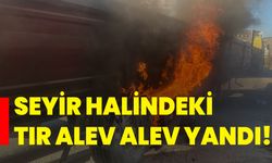 Seyir halindeki tır alev alev yandı!