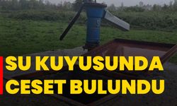 Su kuyusunda ceset bulundu