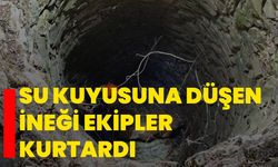 Su kuyusuna düşen ineği ekipler kurtardı