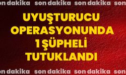 Uyuşturucu operasyonunda 1 şüpheli tutuklandı