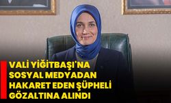 Vali Yiğitbaşı'na sosyal medyadan hakaret eden şüpheli gözaltına alındı
