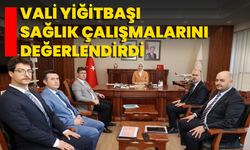 Vali Yiğitbaşı Sağlık Çalışmalarını Değerlendirdi