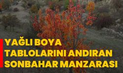 Yağlı boya tablolarını andıran sonbahar manzarası