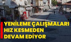Yenileme çalışmaları hız kesmeden devam ediyor