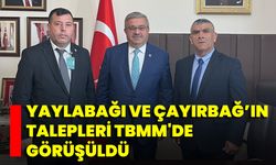 Yaylabağı ve Çayırbağ’ın Talepleri TBMM'de Görüşüldü