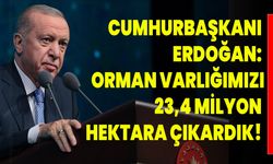 Cumhurbaşkanı Erdoğan: Orman Varlığımızı 23,4 Milyon Hektara Çıkardık!