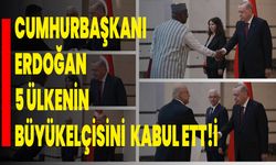 Cumhurbaşkanı Erdoğan, 5 ülkenin büyükelçisini kabul etti