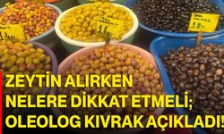 Zeytin Alırken Nelere Dikkat Etmeli; Oleolog Kıvrak Açıkladı!