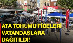 Ata tohumu fideleri vatandaşlara dağıtıldı!