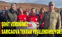 Şehit Verdiğimiz Sarıcaova Tekrar Yeşillendiriliyor!