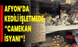 Afyon’da Kedili İşletmede “Camekan İsyanı”!