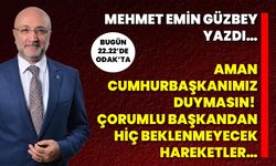Mehmet Emin Güzbey Yazdı… Aman Cumhurbaşkanımız Duymasın!