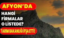 Afyon’da Hangi Firmalar O Listede? Tarım Bakanlığı İfşa Etti!
