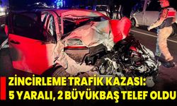 Zincirleme Trafik Kazası: 5 Yaralı, 2 Büyükbaş Telef Oldu