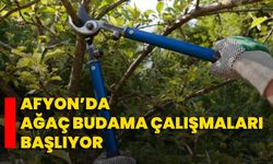 Afyon’da Ağaç Budama Çalışmaları Başlıyor