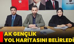 AK Gençlik Yol Haritasını Belirledi