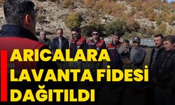 Arıcalara lavanta fidesi dağıtıldı