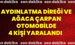 Aydınlatma direği ve ağaca çarpan otomobilde 4 kişi yaralandı