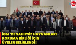 İGM ‘De Sahipsiz Hayvanları Koruma Birliği İçin Üyeler Belirlendi!