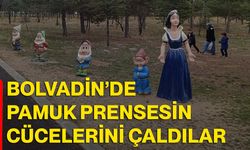 Bolvadin’de Pamuk Prensesin cücelerini çaldılar