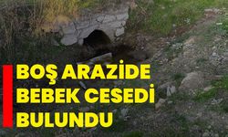 Boş arazide bebek cesedi bulundu