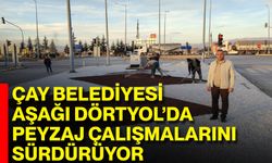 Çay Belediyesi Aşağı Dörtyol’da Peyzaj Çalışmalarını Sürdürüyor