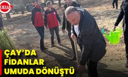 Çay’da Fidanlar Umuda Dönüştü