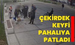 Çekirdek keyfi pahalıya patladı