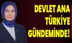 DEVLET ANA TÜRKİYE GÜNDEMİNDE!