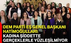 DEM Parti Eş Genel Başkanı Hatimoğulları: Kadına Şiddette Gerçeklerle Yüzleşilmiyor