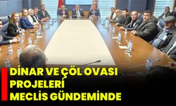 Dinar ve Çöl Ovası Projeleri Meclis Gündeminde