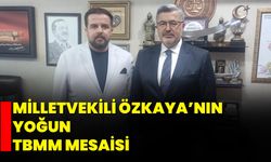 Milletvekili Özkaya’nın Yoğun TBMM Mesaisi