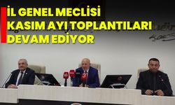 İl Genel Meclisi Kasım Ayı Toplantıları Devam Ediyor