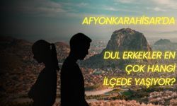 Afyonkarahisar’da dul erkekler en çok hangi ilçede yaşıyor?