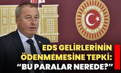 Olgun'dan EDS Gelirlerinin Ödenmemesine Tepki: “Bu Paralar Nerede?”