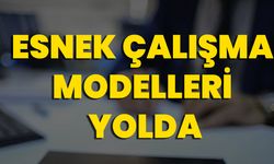 Esnek Çalışma Modelleri Yolda